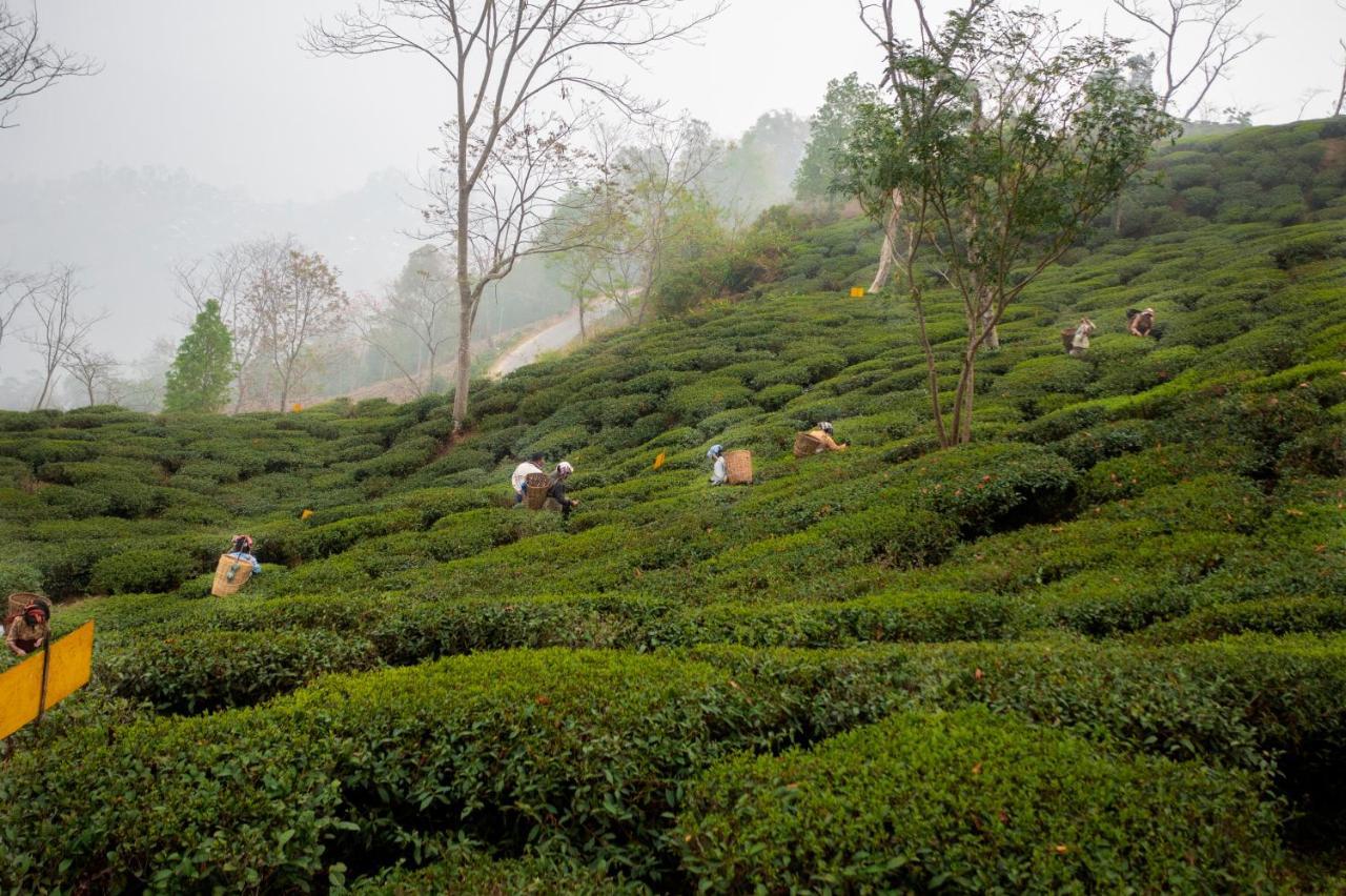 Ama Stays & Trails Puttabong Cottage, Darjeeling Darjeeling  Exterior photo